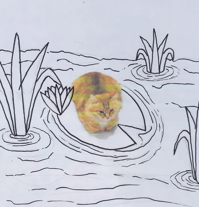 Cat In The Swamp