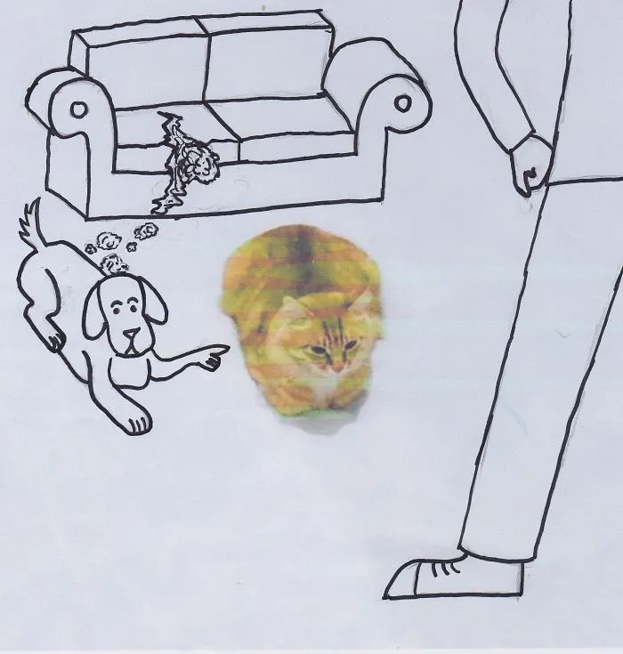 "the Cat Did It!"