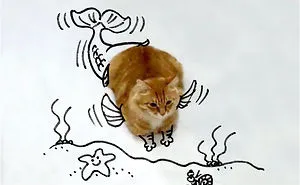 Challenge: Doodle This Cat Photo To Give Him New Adventures (261 Pics)