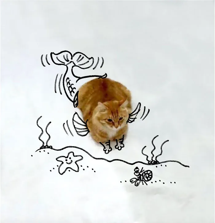 Cat-fish!!