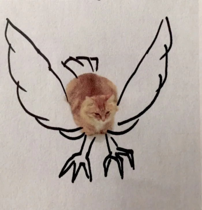 Cat Attack From The Sky
