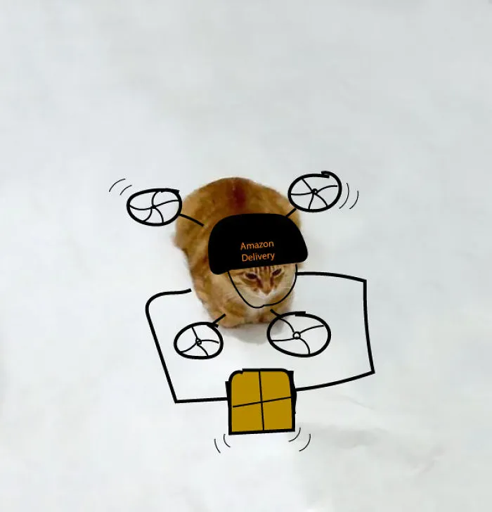 Amazon Prime Drone Delivery