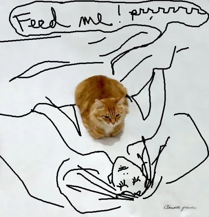 Feed Me !