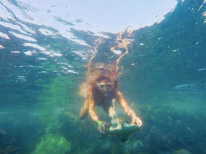Diving Buddies