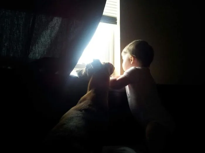 129 Heartwarming Photos Proving That Your Kids Need A Pet
