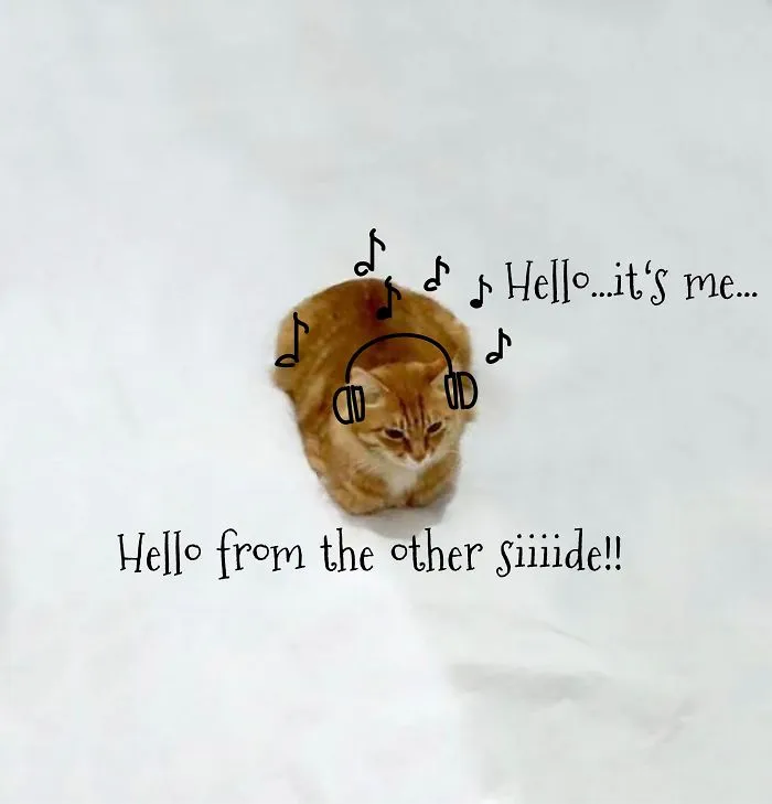 Hello...it's Me!