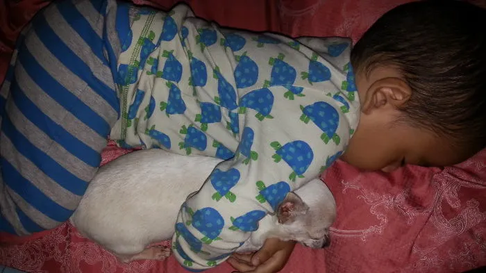 129 Heartwarming Photos Proving That Your Kids Need A Pet