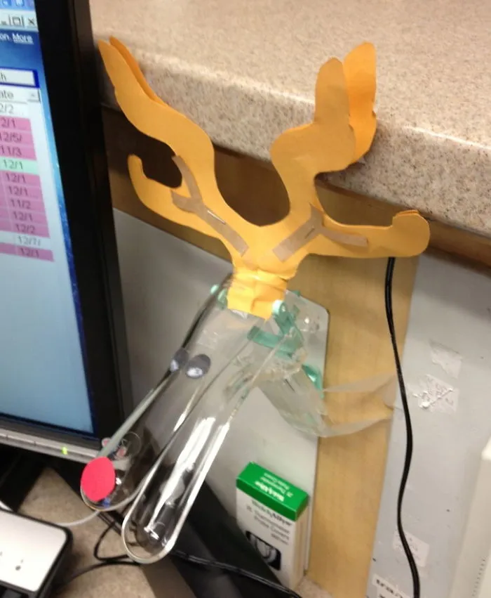 Rudolf The Red Nosed Speculum. On The High Risk Antepartum Floor :)