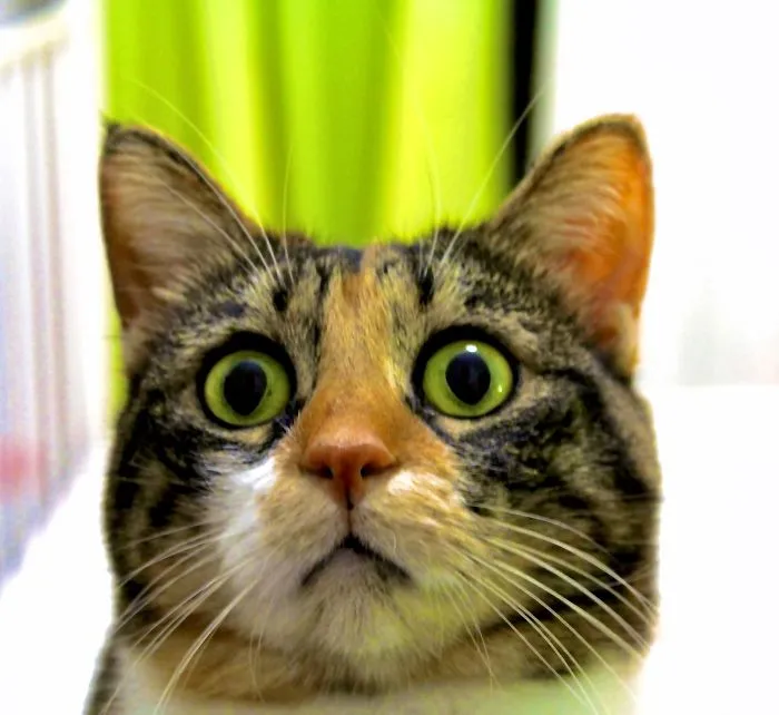 I See More Than One