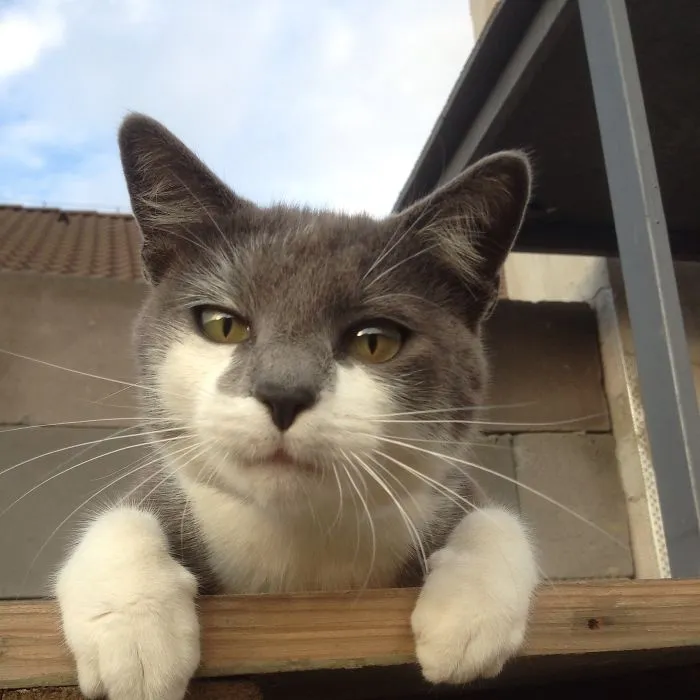 Outside