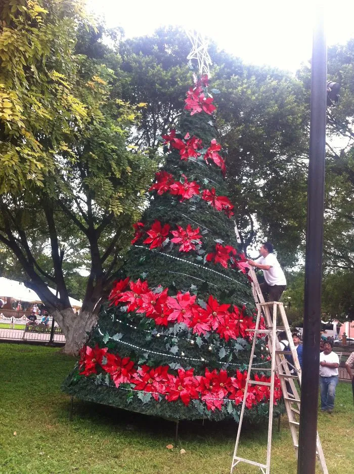 In Valladolid, Yucatan Mexico.