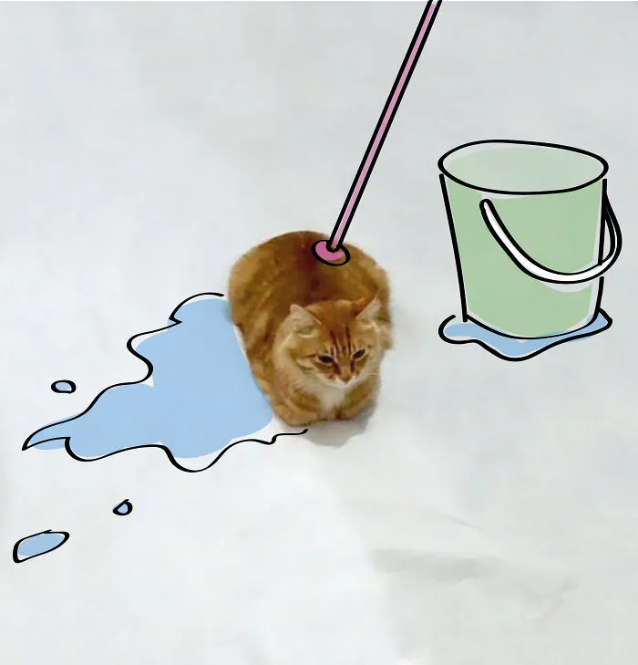 Mop