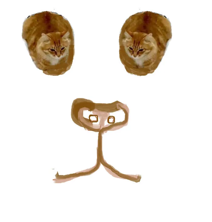 Brain Teaser Panda Cat