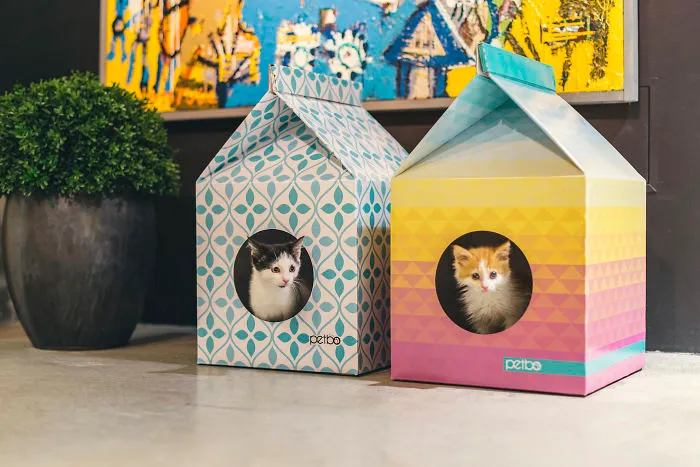 Eco-friendly Playhouse For Cats