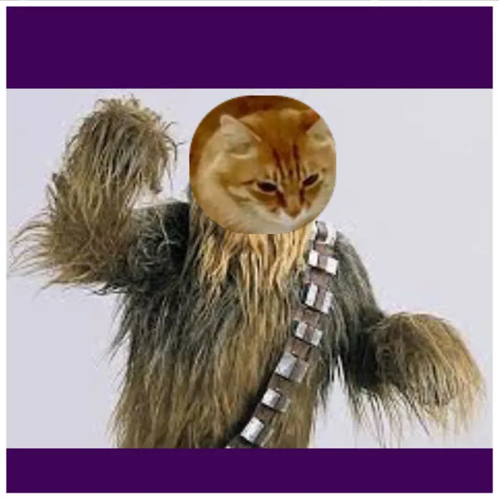 Meowbacca