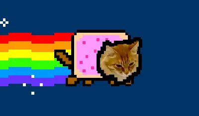 Pop Tart Space Cat
