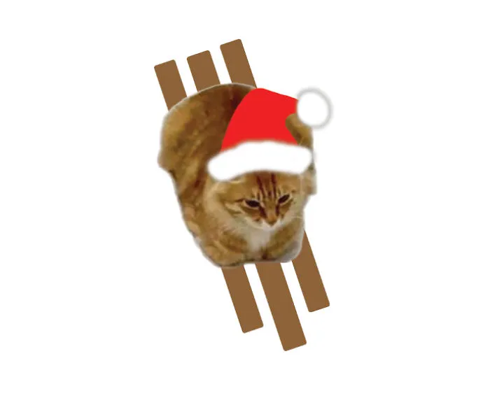December Cat