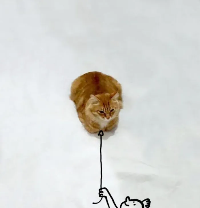 Airocat