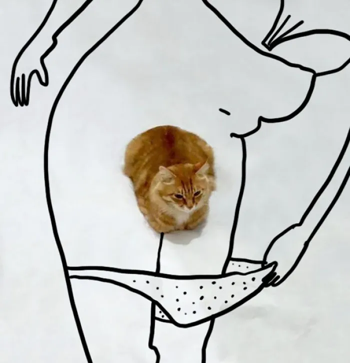 Hello Pussy Cat