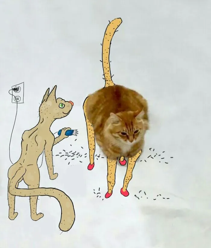 Fluffy Tries A New Look