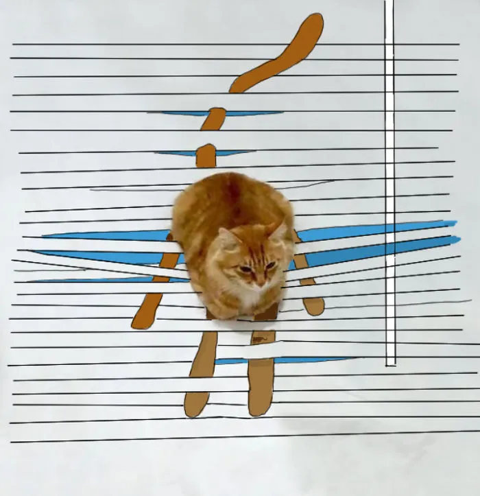 Bad Kitty