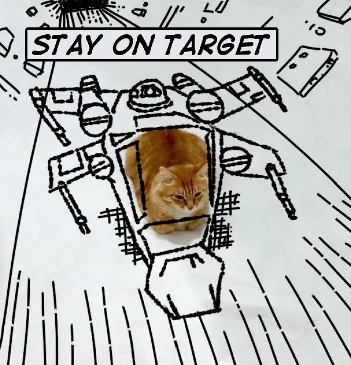 A Meow Hope
