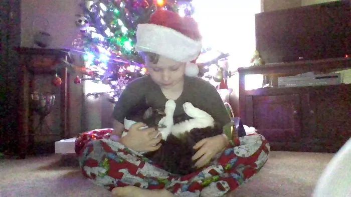 129 Heartwarming Photos Proving That Your Kids Need A Pet
