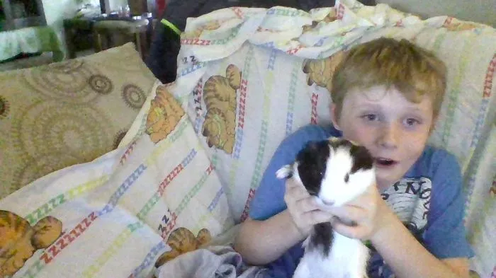 129 Heartwarming Photos Proving That Your Kids Need A Pet