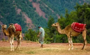 We Captured The Essence Of Morocco In An Enchanting Timelapse Video