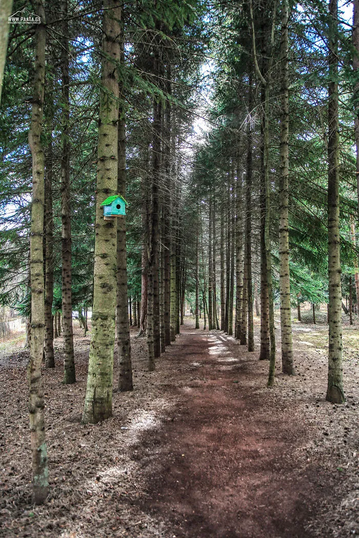 Algeti National Park