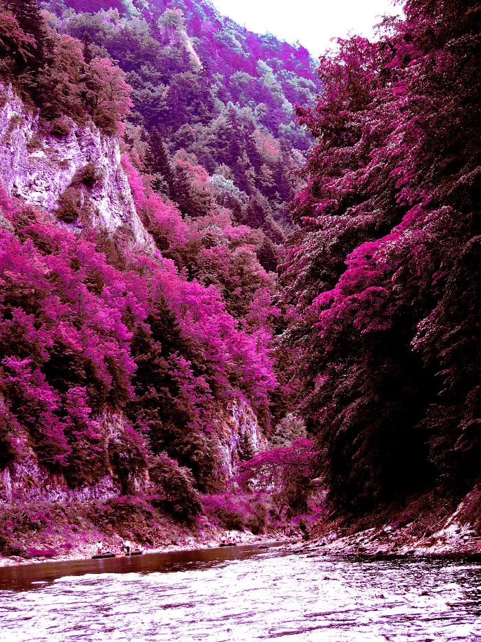 Another World