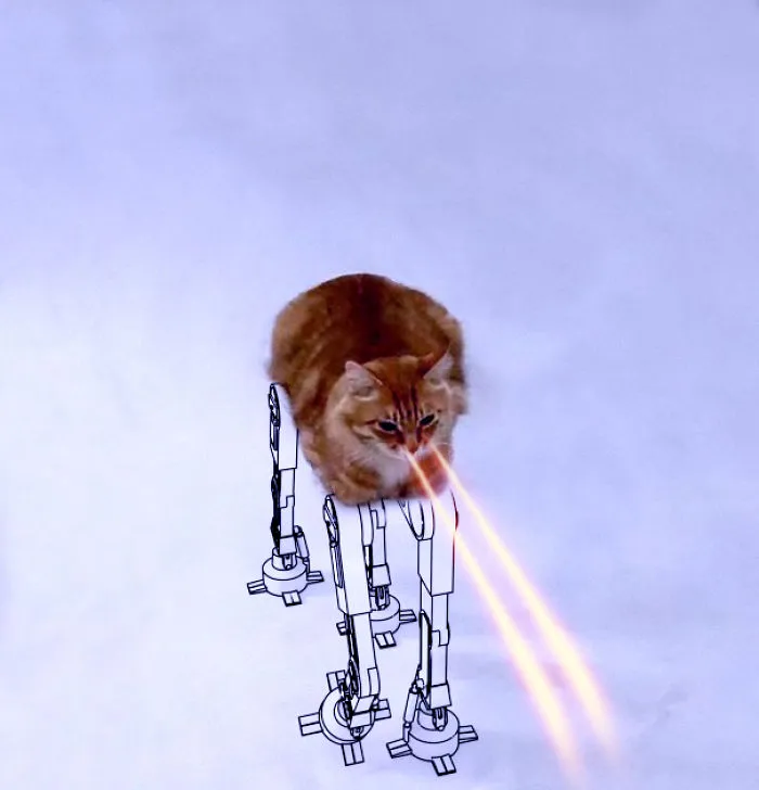 At-at Cat