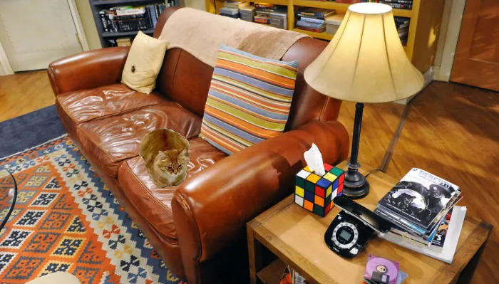 That's My Spot