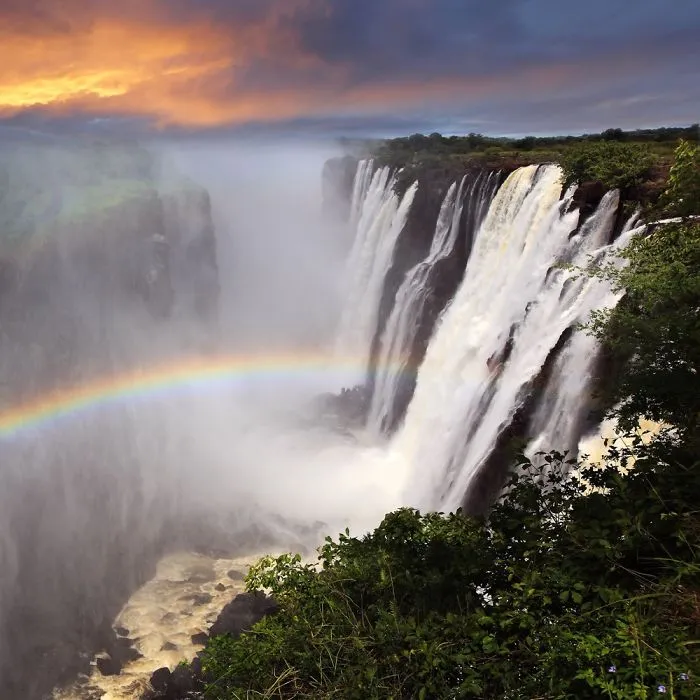 Beauty Nature
