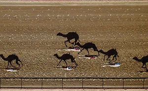 25 Of The Best Drone Photos Shot In 2015