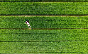 25 Of The Best Drone Photos Shot In 2015
