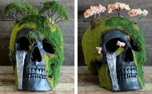 Bonsai Skulls Bring The Dead To Life