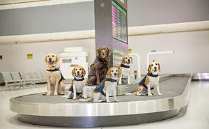 Border Protection A Team Effort