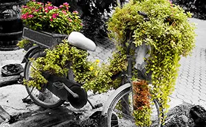 My Street Photography In Selective Color