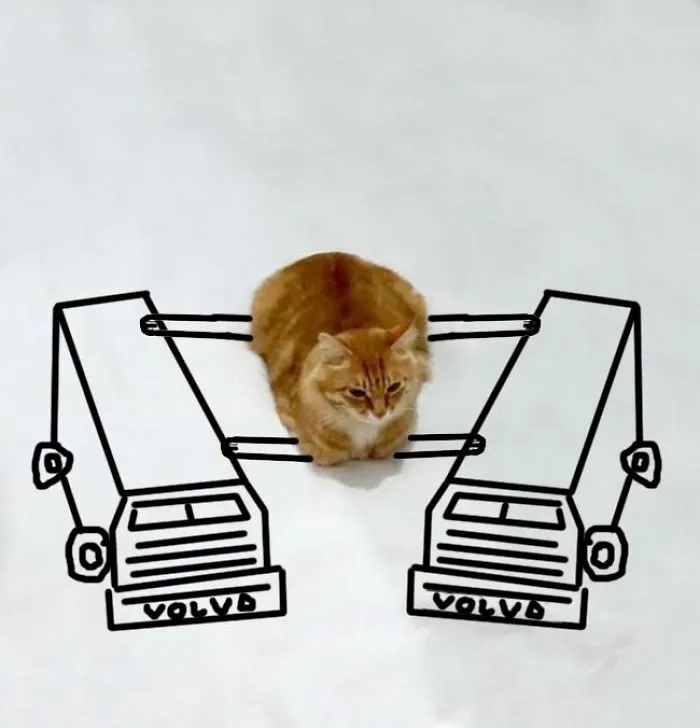 Perfect Balance