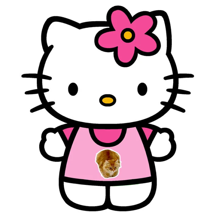 #hellocat