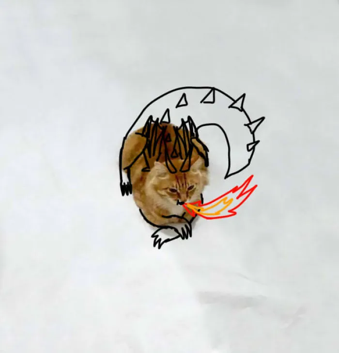 Cat Dragon