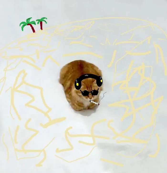 Chillin' Cat