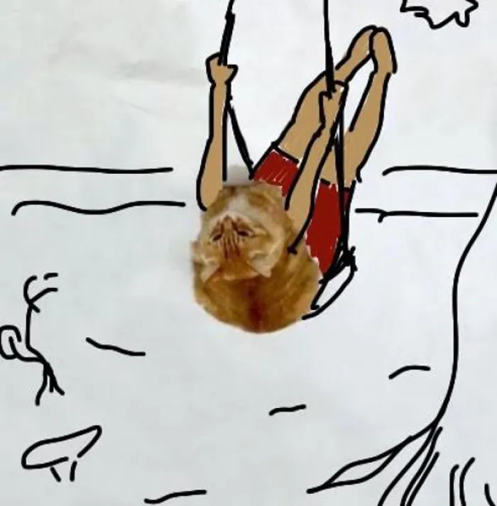 Swinging Cat