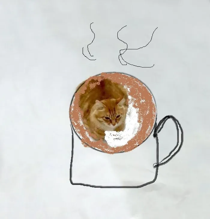 Cattuccino