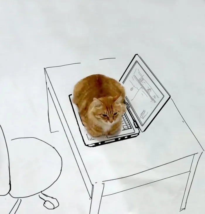 Computer Cat