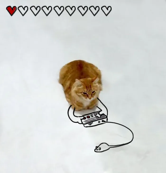 Gamer Cat