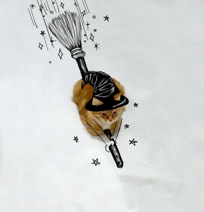 I'm A Witch!