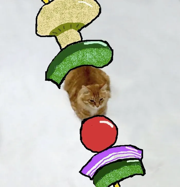 Catkabob!