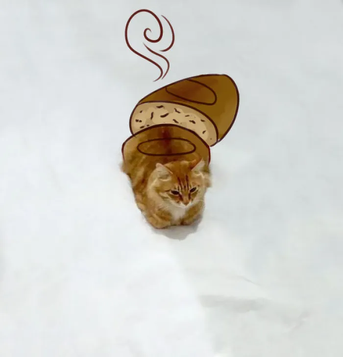 Cat-loaf, Why Didn't Anyone Think Of This?